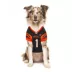 Pets First Ja'Marr Chase Pet Jersey image thumbnail 4