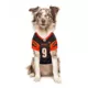 Product Pets First Joe Burrow Pet Jersey