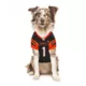 Product Pets First Ja'Marr Chase Pet Jersey