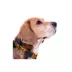 Pets First Washington Commanders Satin Ribbon Dog Collar image thumbnail 4