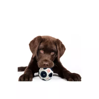 Product Pets First Houston Astros Treat Dispenser Dog Toy