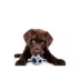 Pets First Chicago Cubs Treat Dispenser Dog Toy image thumbnail 2