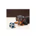Pets First Chicago Cubs Treat Dispenser Dog Toy image thumbnail 4