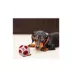 Pets First Boston Red Sox Treat Dispenser Dog Toy image thumbnail 4