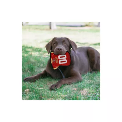 Product Pets First San Francisco 49ers Jersey Tough Dog Toy