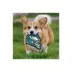 Pets First Philadelphia Eagles Helmet Tough Dog Toy image thumbnail 4