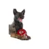 Pets First Kansas City Chiefs Helmet Tough Dog Toy image thumbnail 3