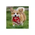 Pets First Kansas City Chiefs Helmet Tough Dog Toy image thumbnail 4