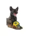 Pets First Green Bay Packers Helmet Tough Dog Toy image thumbnail 3