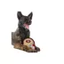 Pets First San Francisco 49ers Helmet Tough Dog Toy image thumbnail 3