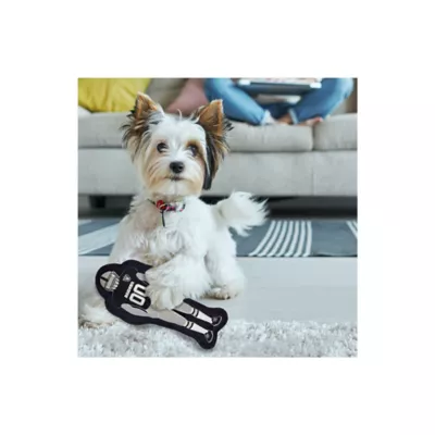 Product Pets First Las Vegas Raiders Player Tough Dog Toy