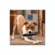 Product Pets First New Orleans Saints Player Tough Dog Toy