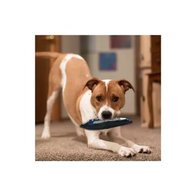 Product Pets First Dak Prescott Player Tough Dog Toy