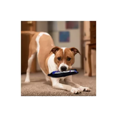 Product Pets First Josh Allen Player Tough Dog Toy