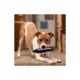 Product Pets First Josh Allen Player Tough Dog Toy