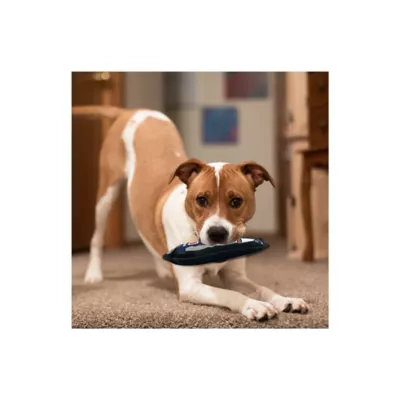 Product Pets First New England Patriots Player Tough Dog Toy