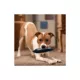 Product Pets First New England Patriots Player Tough Dog Toy