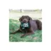 Pets First Philadelphia Eagles Jersey Tough Dog Toy image thumbnail 4