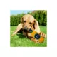 Product Pets First Seattle Seahawks Plush Bottle Dog Toy