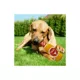 Product Pets First Texas Longhorns Plush Bottle Dog Toy