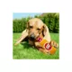 Product Pets First Wisconsin Badgers Plush Bottle Dog Toy