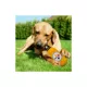 Product Pets First Pittsburgh Steelers Plush Bottle Dog Toy