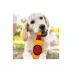 Pets First Tampa Bay Buccaneers Plush Bottle Dog Toy image thumbnail 2