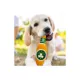 Product Pets First Boston Celtics Plush Bottle Dog Toy