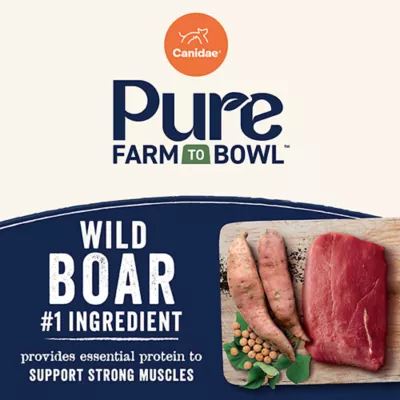 Product Canidae Pure Adult Dry Dog Food - Wild Boar & Garbanzo Bean