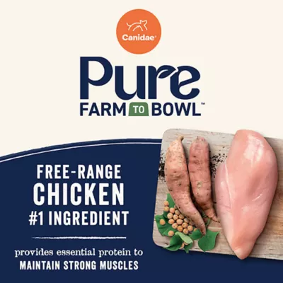 Product Canidae Pure Senior Dry Dog Food - Chicken, Sweet Potato & Garbanzo Bean