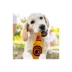 Pets First Philadelphia Flyers Plush Bottle Dog Toy image thumbnail 2