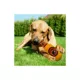 Product Pets First Philadelphia Flyers Plush Bottle Dog Toy