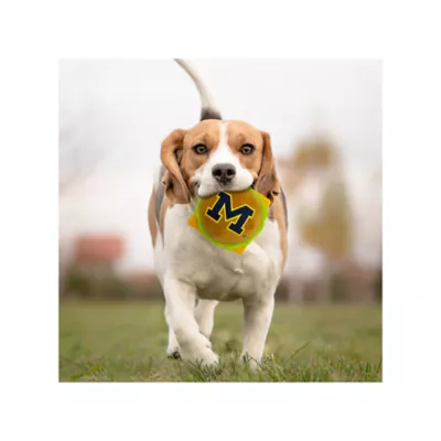 Product Pets First Michigan Plush Hamburger Dog Toy