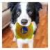 Pets First Golden State Warriors Plush Hamburger Toy image thumbnail 3