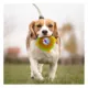 Product Pets First 76ers Plush Hamburger Dog Toy