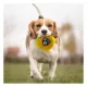 Product Pets First Brooklyn Nets Plush Hamburger Dog Toy