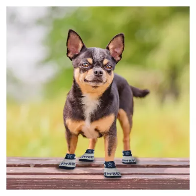 Product Pets First Dallas Cowboys Pet Socks