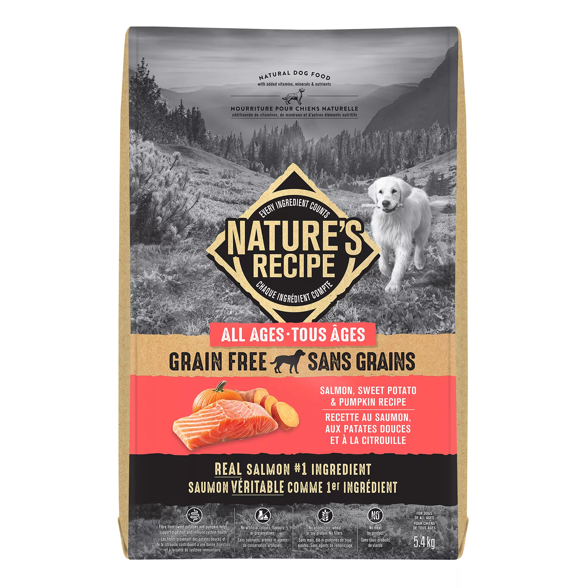 Nature's Recipe Grain Free Adult Dog Food - Salmon