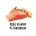Nature's Recipe Grain Free Adult Dog Food - Salmon image thumbnail 2