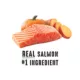 Product Nature's Recipe Grain Free Adult Dog Food - Salmon