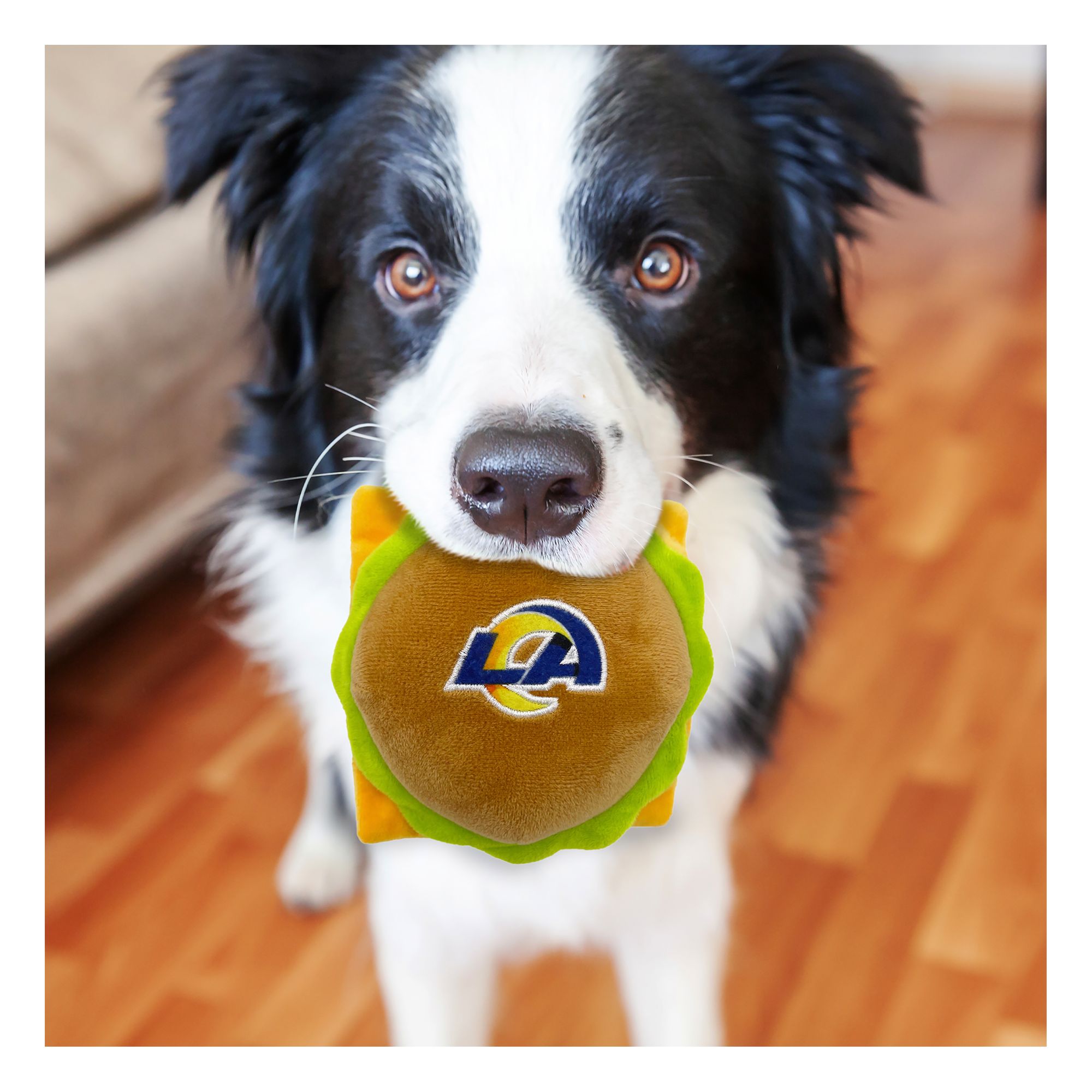 Pets Erste Los Angeles Rams Hundehalsband – Mittel, Verstellbar, Mit Band-Design