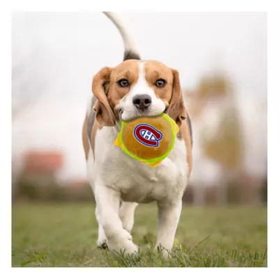 Product Pets First Montreal Canadiens Plush Hamburger Dog Toy