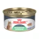 Product Royal Canin Feline Care Nutrition Digestive Care Loaf In Sauce Canned Cat Food