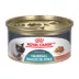 Royal Canin Feline Adult Wet Cat Food Hairball Care Nutrition - Thin Slices in Gravy, 3 oz image thumbnail 1