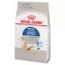 Royal Canin Feline Indoor Long Hair Adult Dry Cat Food Health Nutrition image thumbnail 5