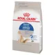 Product Royal Canin Feline Health Nutrition Indoor Long Hair Dry Cat Food