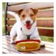 Product Pets First Wisconsin Badgers Plush Hot Dog Dog Toy
