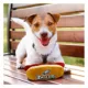 Product Pets First Philadelphia Eagles Plush Hot Dog Dog Toy