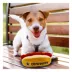 Pets First Dallas Cowboys Plush Hot Dog Dog Toy image thumbnail 4