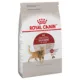 Product Royal Canin Feline Health Nutrition Fit and Active Dry Adult Cat Food